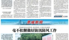 恩平新闻爆料网最新,揭秘本地最新热点事件！