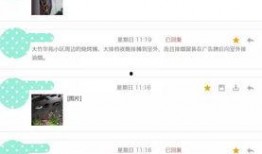 附近最新爆料,附近神秘项目最新进展，独家爆料引热议！