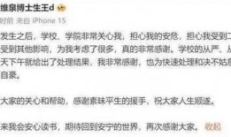 嵩县大事件爆料信息最新,揭秘神秘事件背后的真相！