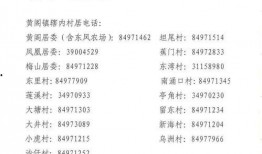 登封市最新爆料消息公布,揭秘背后惊人真相