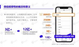 葵花皮肤爆料视频下载最新,视觉盛宴，探索神秘力量