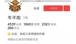 最新爆料牛不啦小娜,揭秘娱乐圈惊人内幕